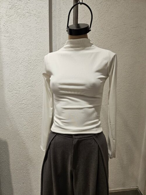 WhatsApp Image 2026-02-21 at 12.04.52 (1)